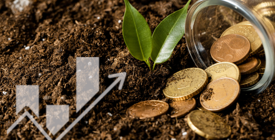 Inversiones Agrícolas para Residencia Fiscal