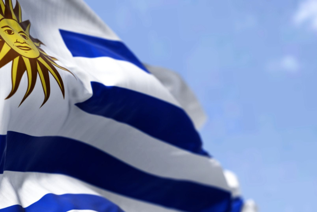 Renovación de la Residencia Legal